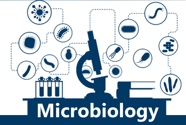 Clinical Microbiology