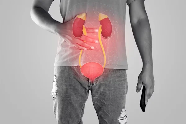 Nephrology